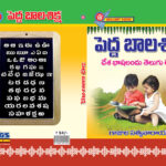 Pedda Bala Siksha