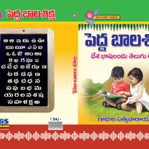 Pedda Bala Siksha